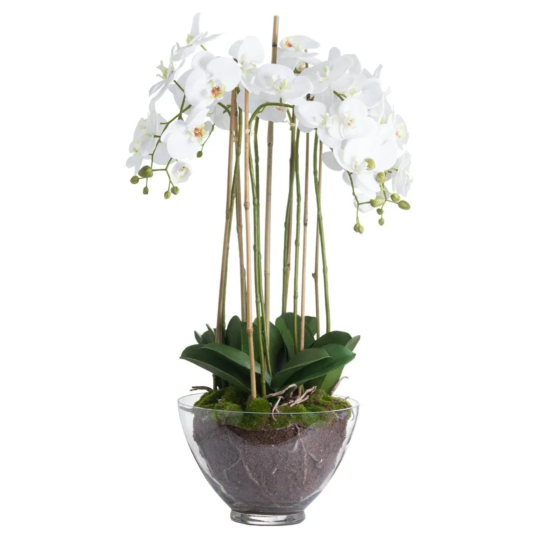 Amabilis Faux White Orchid In Glass Pot - Large