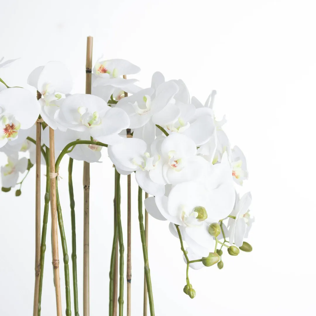 Amabilis Faux White Orchid In Glass Pot - Large