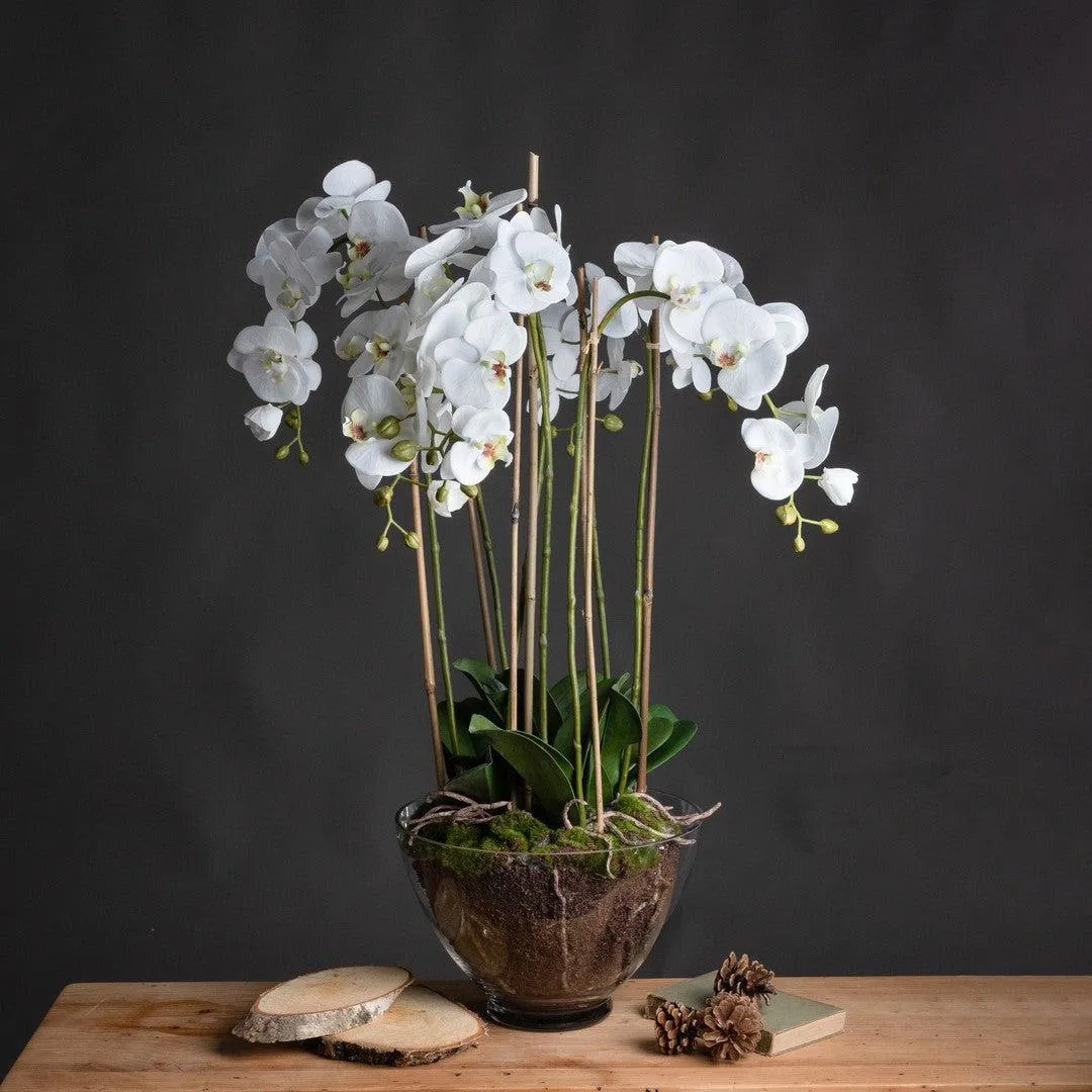 Amabilis Faux White Orchid In Glass Pot - Large