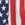 Arena Women's National Team Flag Short